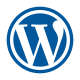 WordPress Development Services in India – Custom Themes & Plugins