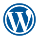 Custom WordPress website design services in India for responsive and SEO-optimized business websites