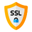 Secure SSL setup and HTTPS configuration to protect user data and improve SEO rankings.